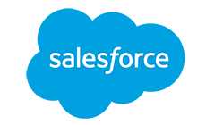 Salesforce Strategic Partner