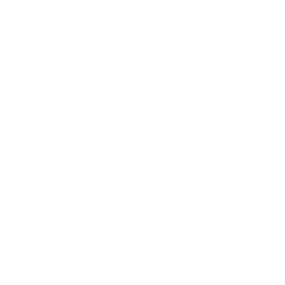 AO Foundation Logo